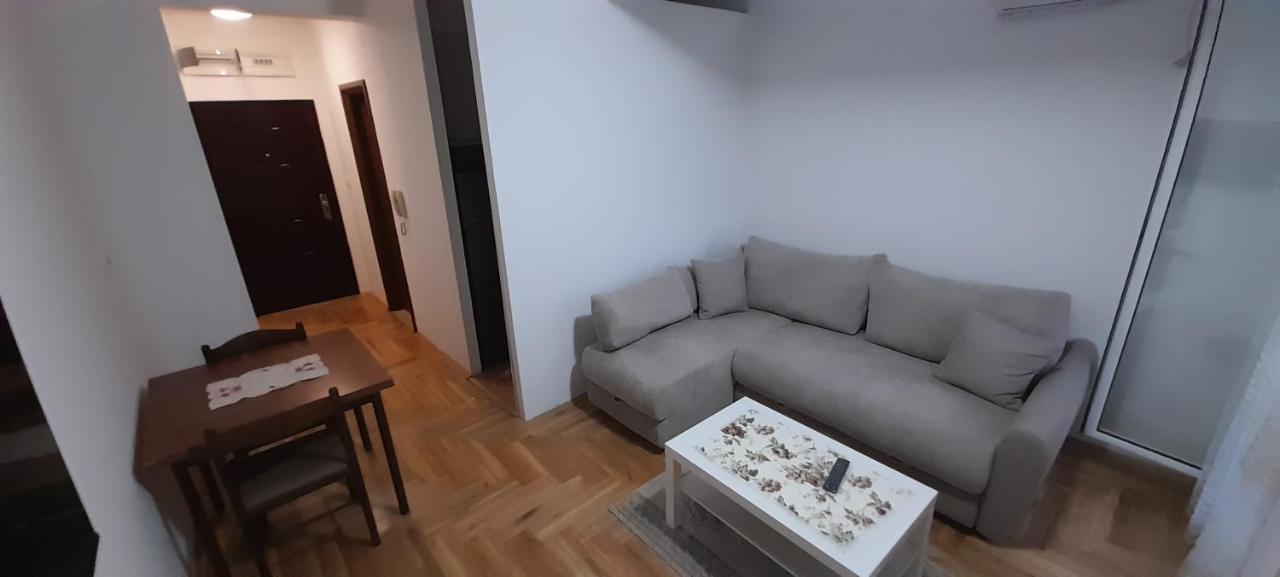Apartment Luka 波德戈里察 外观 照片