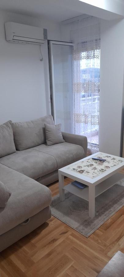 Apartment Luka 波德戈里察 外观 照片